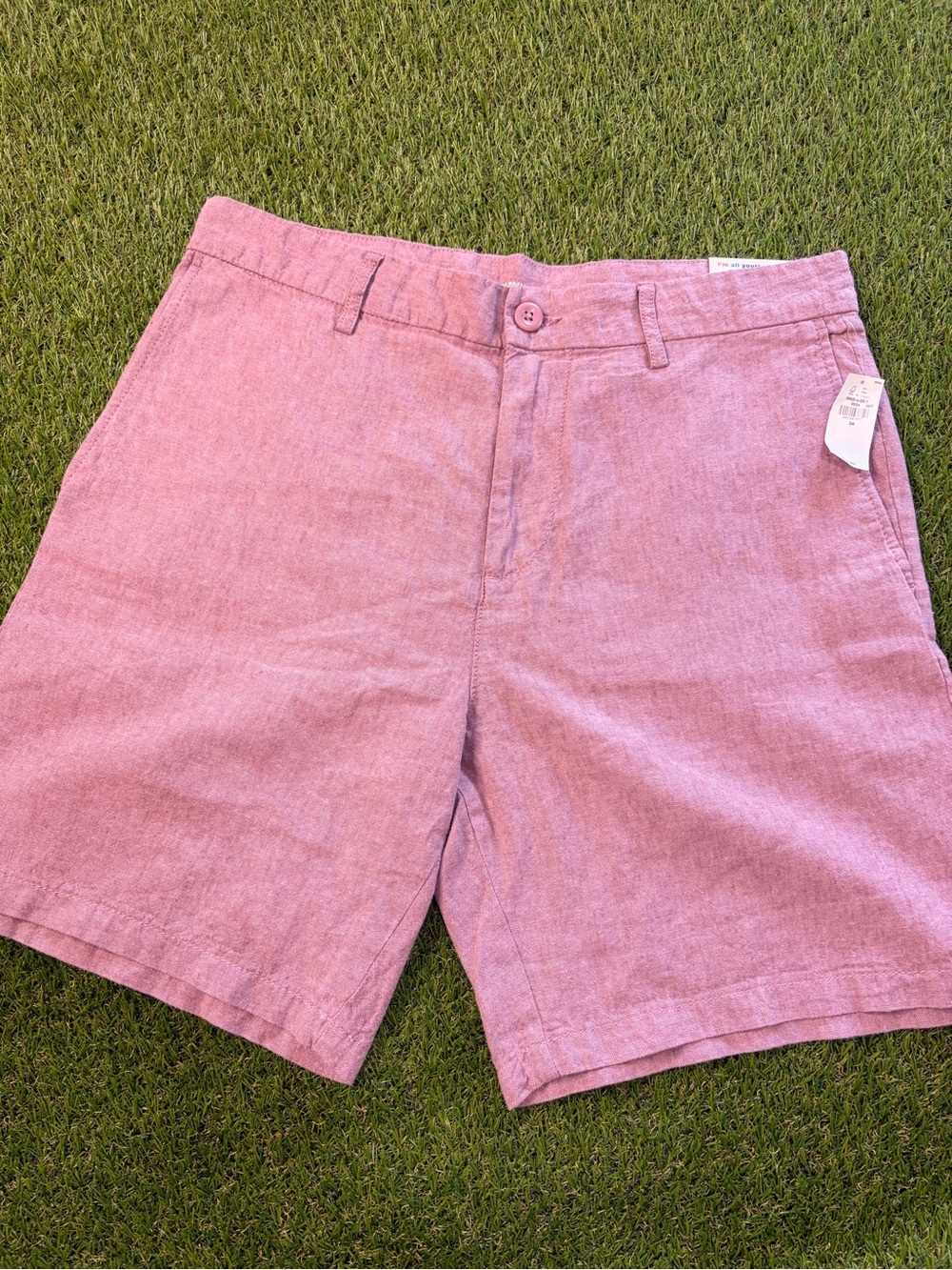 Old Navy Pink Flat-Front Men's Shorts